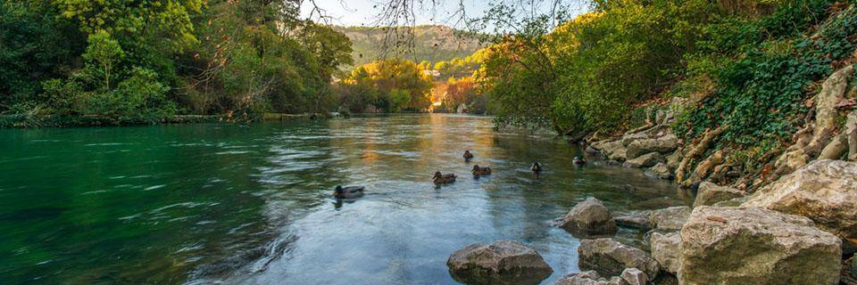 Isle sur la Sorgue