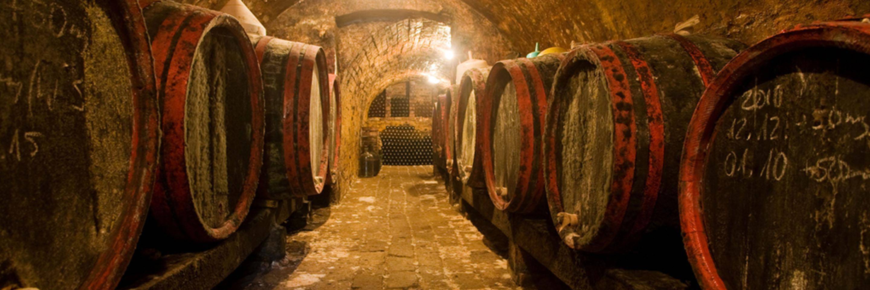 Wine cellar