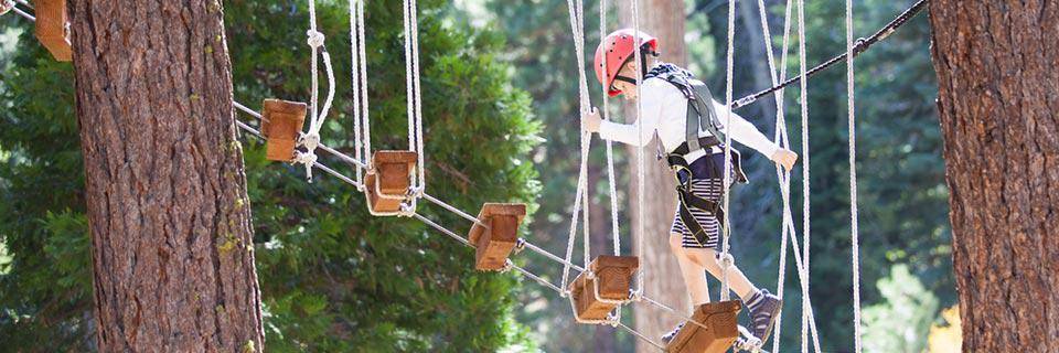 A boy climbing in a treetop adventure course