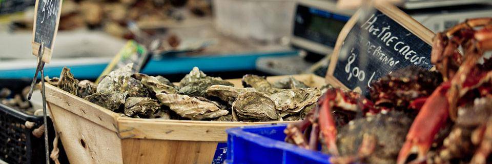 Fresh oysters for sale at a market in Brittany