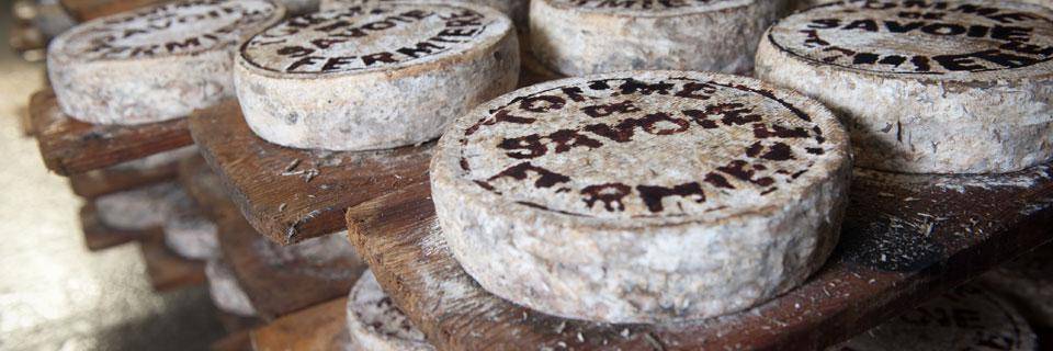 French cheeses for sale